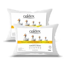 Minhas recomendações